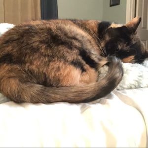 Meet your Posher, Hayley